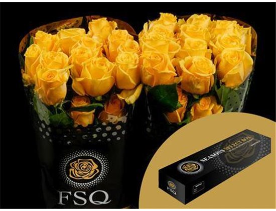 Vrtnica Super Sun Box c3138