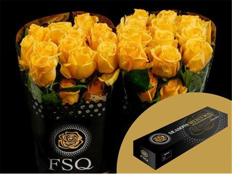 Vrtnica Super Sun Box c3138