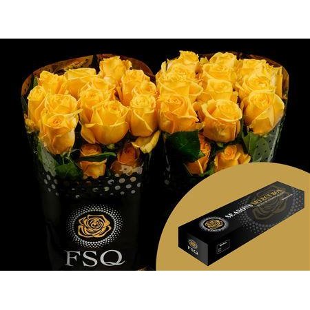 Vrtnica Super Sun Box c3138