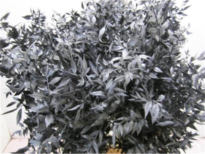 Ruskus A Bleached Black c3700