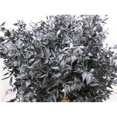 Ruskus A Bleached Black c3700