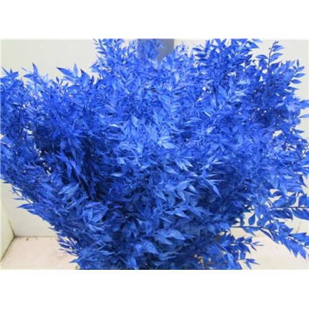Ruskus A Bleached Blue c3702