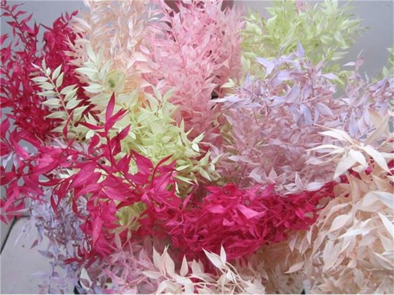 Ruskus A Bleached Mixed c3713