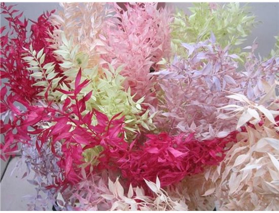 Ruskus A Bleached Mixed c3714