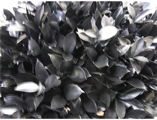 Ruskus G Black c3732