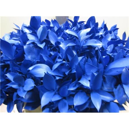 Ruskus G Blue c3734