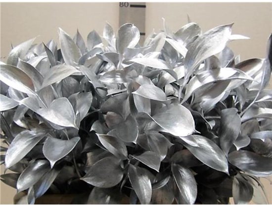 Ruskus G Silver c3766