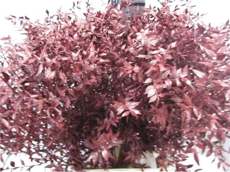 Ruskus Prik Bordeaux Glitter c3775