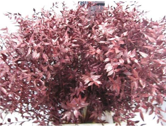 Ruskus Prik Bordeaux Glitter c3776