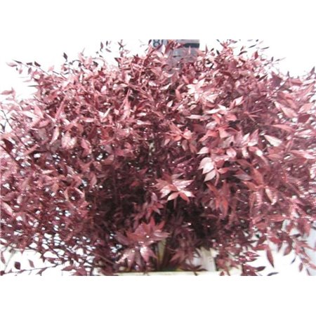 Ruskus Prik Bordeaux Glitter c3776