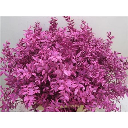 Ruskus Prik Cerise Glitter c3777