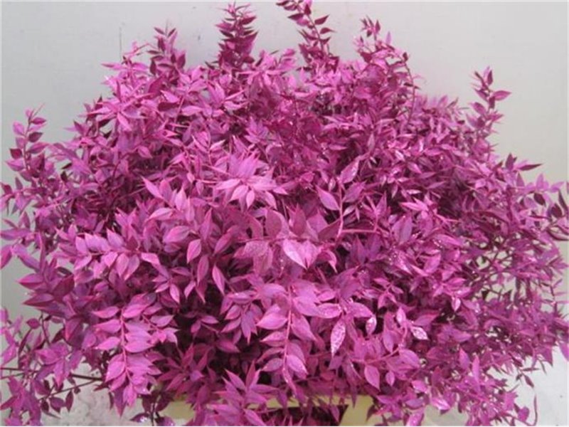 Ruskus Prik Cerise Glitter c3778