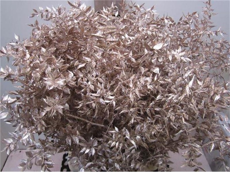 Ruskus Prik Champagne Glitter c3779