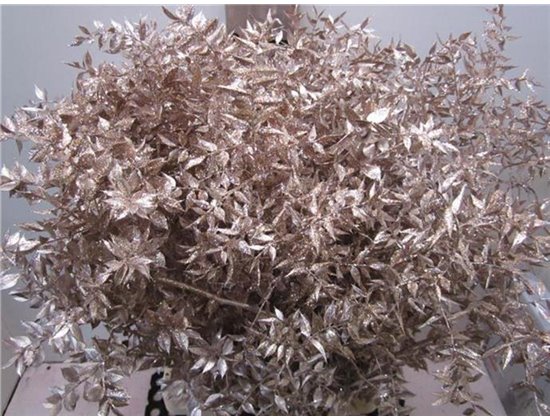 Ruskus Prik Champagne Glitter c3780