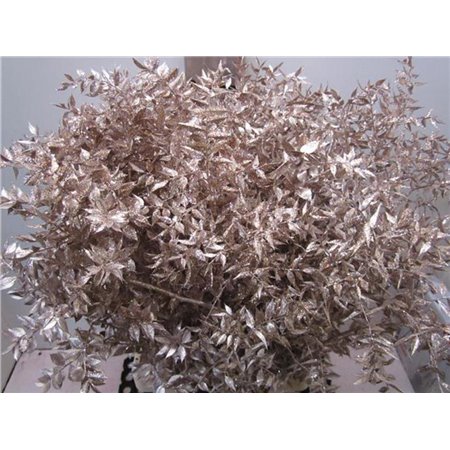 Ruskus Prik Champagne Glitter c3780