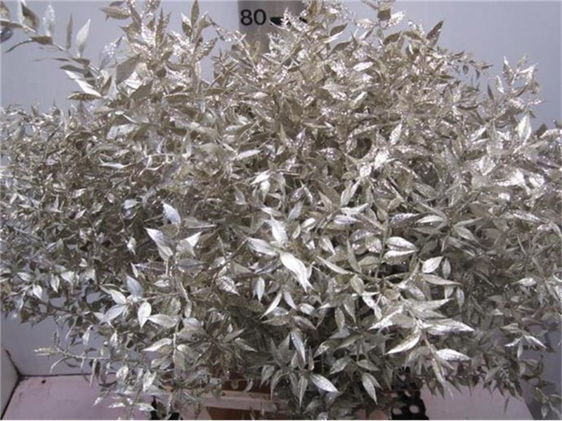 Ruskus Prik Platina Glitter c3784