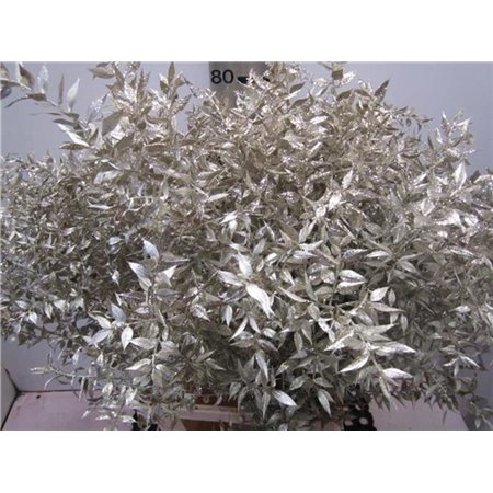 Ruskus Prik Platina Glitter c3784