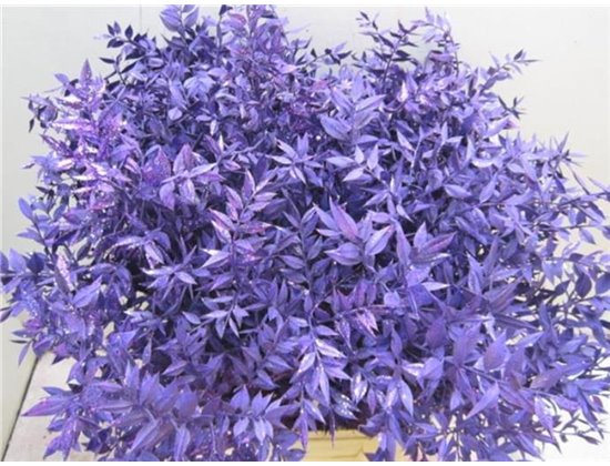 Ruskus Prik Platina Glitter c3785