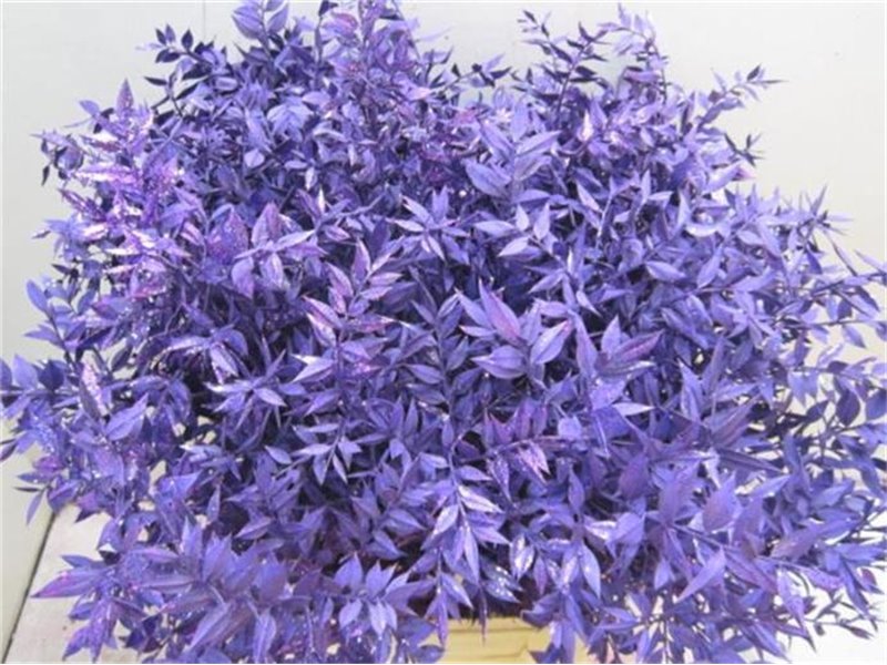 Ruskus Prik Purple Glitter c3786