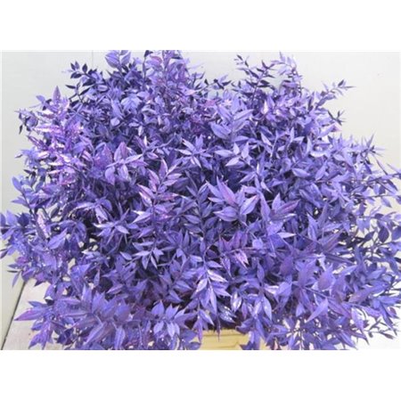 Ruskus Prik Purple Glitter c3786