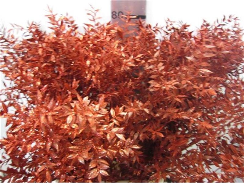 Ruskus Prik Red Glitter c3787