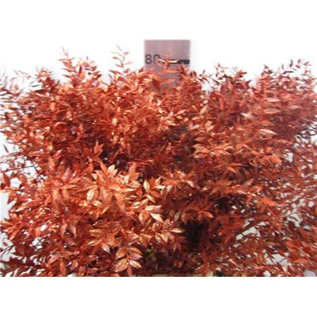 Ruskus Prik Red Glitter c3787