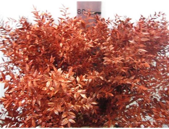 Ruskus Prik Red Glitter c3788