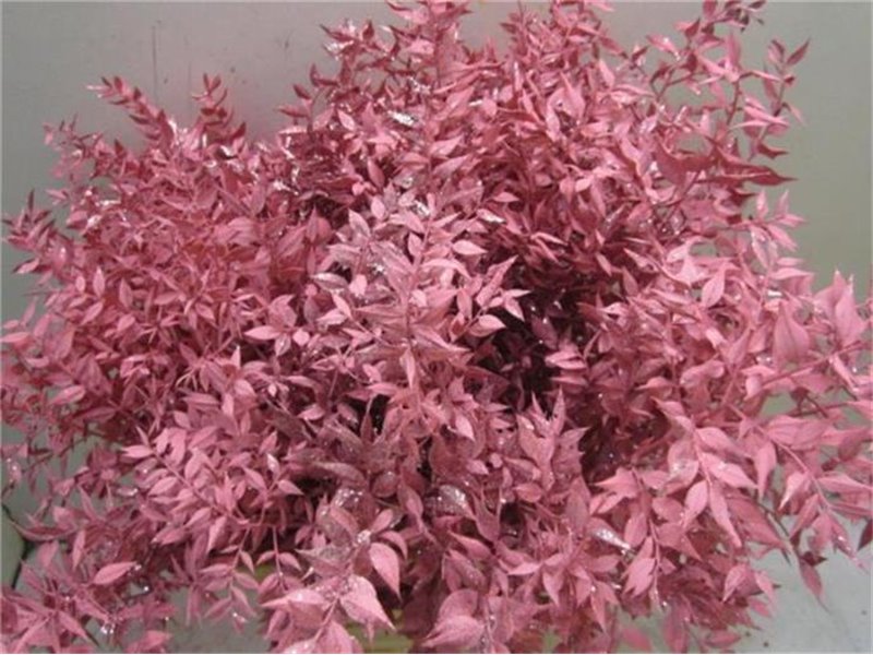 Ruskus Prik Rose Glitter c3789