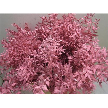 Ruskus Prik Rose Glitter c3789