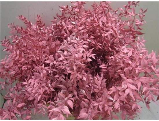 Ruskus Prik Rose Glitter c3790