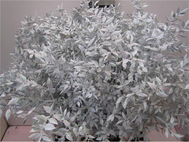 Ruskus Prik White Glitter c3794