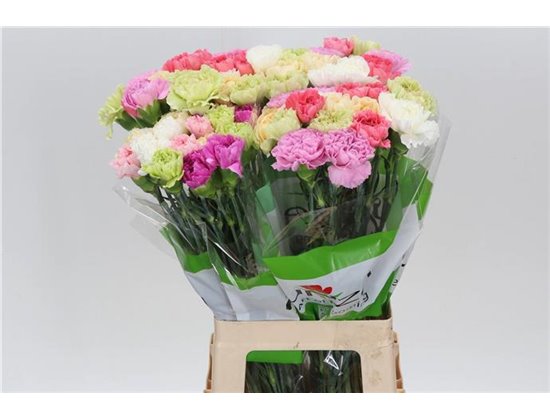 Nagelj Funza Long Rainbow Orange c315