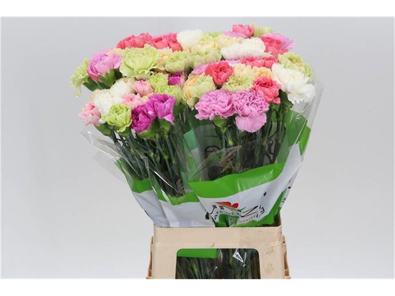 Nagelj Funza Long Rainbow Orange c315