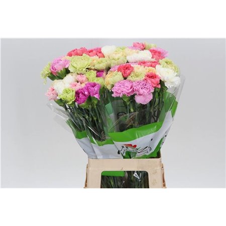 Nagelj Funza Long Rainbow Pastel c316