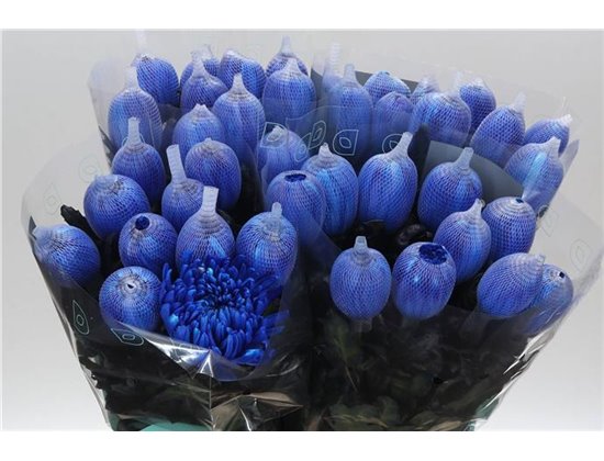 Marjetka deco Antonov Dyed Blue c464