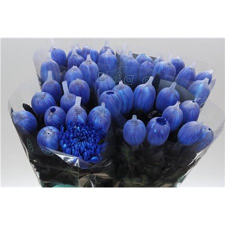 Marjetka deco Antonov Dyed Blue c464