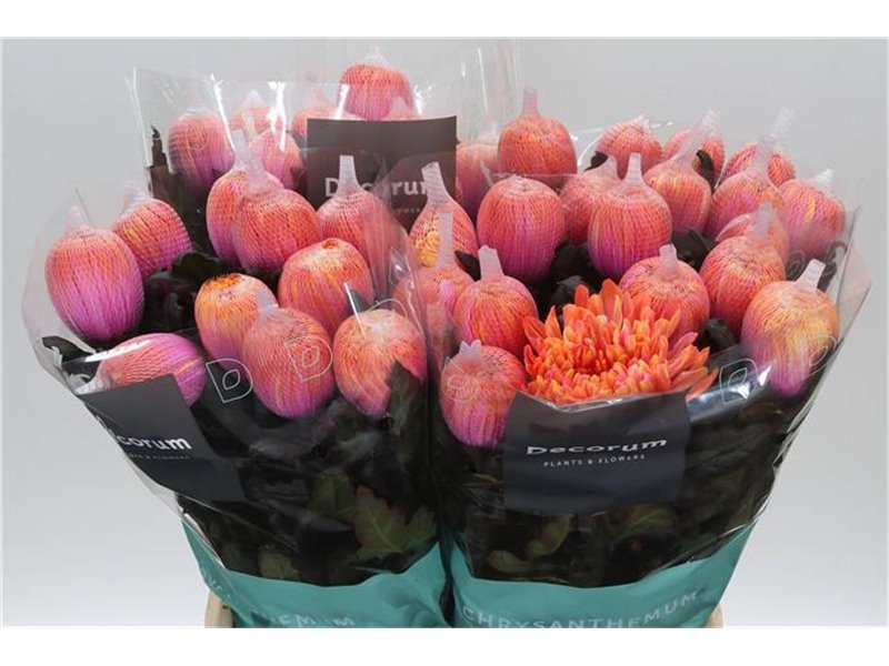 Marjetka deco Antonov Dyed Fireball c466