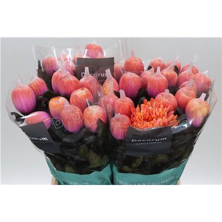 Marjetka deco Antonov Dyed Fireball c466