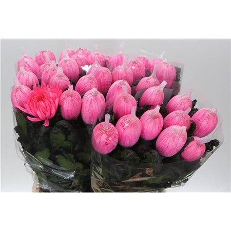 Marjetka deco Antonov Dyed Fireball c467