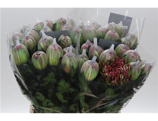 Marjetka deco Antonov Dyed Hot Pink c468