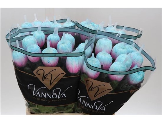 Marjetka deco Antonov Dyed Mermaid c471