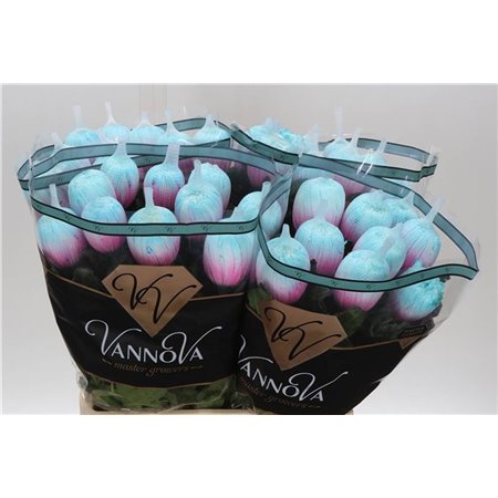 Marjetka deco Antonov Dyed Mermaid c471