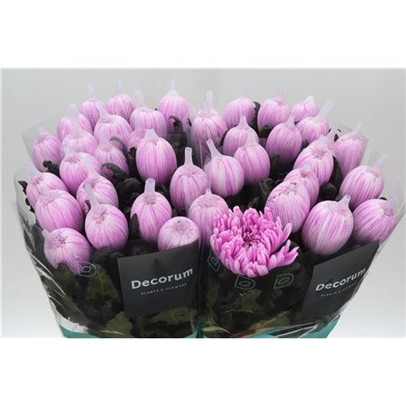 Marjetka deco Antonov Dyed Moonshine c474