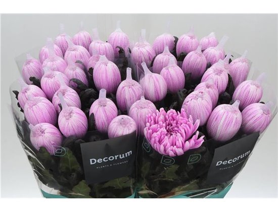 Marjetka deco Antonov Dyed Pastel Cerise c475