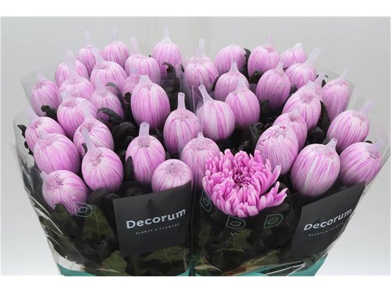 Marjetka deco Antonov Dyed Pastel Cerise c475