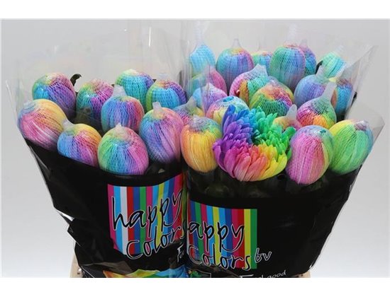 Marjetka deco Antonov Dyed Rainbow c477