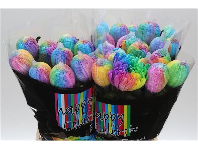 Marjetka deco Antonov Dyed Rainbow c477