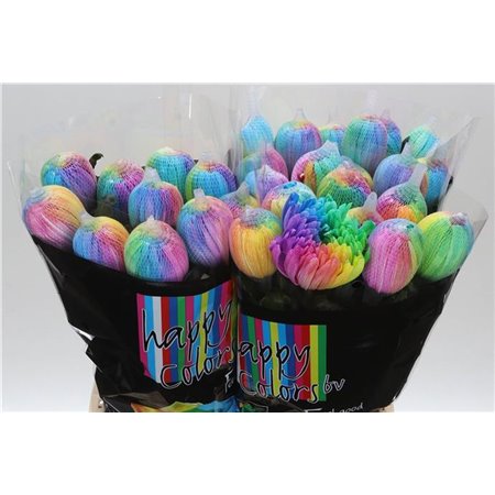 Marjetka deco Antonov Dyed Rainbow c477