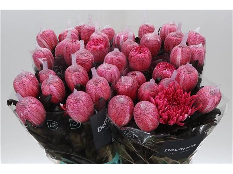 Marjetka deco Antonov Dyed Red c478