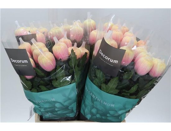 Marjetka deco Antonov Dyed Soft Peach c479